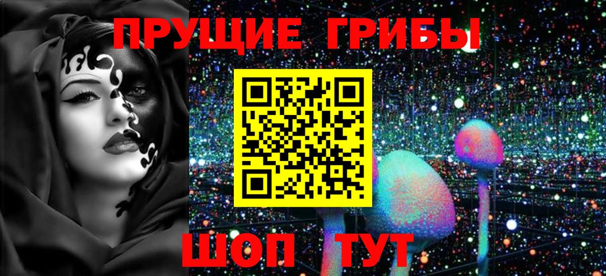 Галлюциногенные грибы GOLDEN TEACHER  Галлюциногенные грибы Cubensis  Вход с VPN  Сухой Лог 
